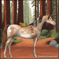 Horse Color:Gray White Spotted Gold Champagne Dun