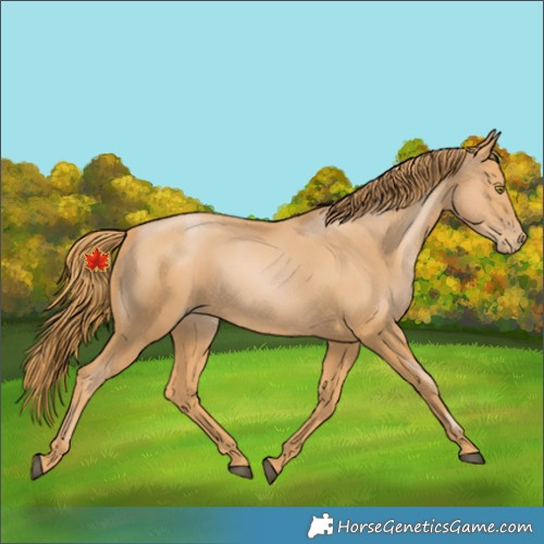 Horse Color:Chestnut Pearl 