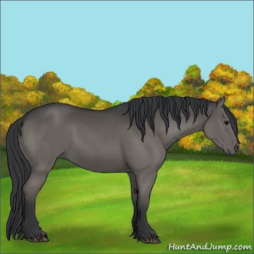 Horse Color:Grullo Rabicano