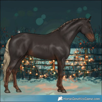 Horse Color:Liver Chestnut Rabicano 