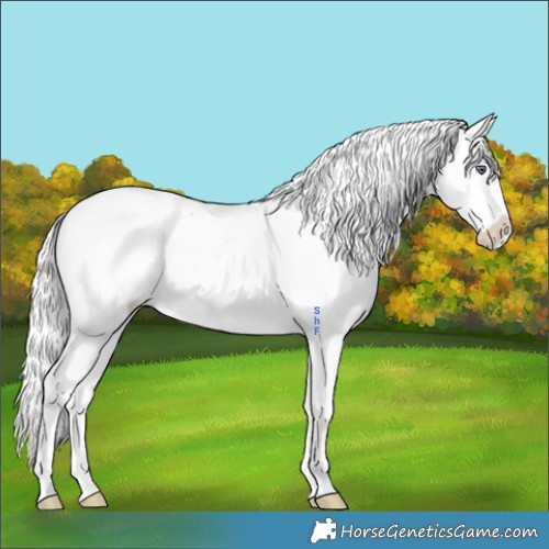 Horse Color:White Spotted Brown Chinchilla Roan Dun Mushroom Appaloosa Brindle 