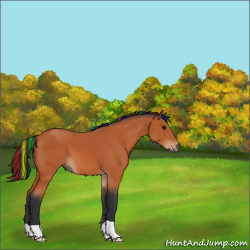 Horse Color:Painted Bay 