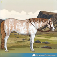 Horse Color:Brown Pearl Sabino