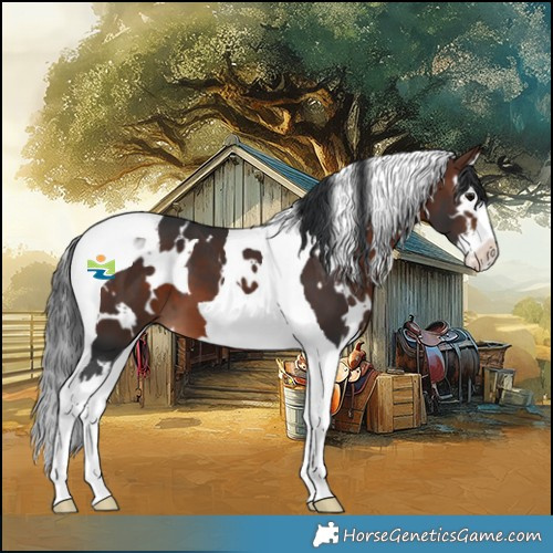 Horse Color:White Spotted Brown Splash Tobiano 