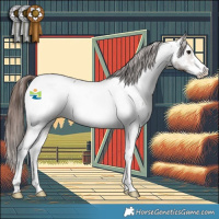 Horse Color:Brown Dun Sabino Appaloosa 