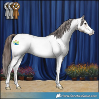 Horse Color:Brown Dun Sabino Appaloosa