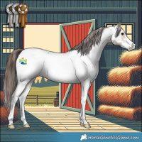 Horse Color:Brown Dun Sabino Appaloosa