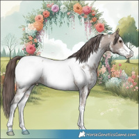 Horse Color:Bay Dun Sabino Snowcap 