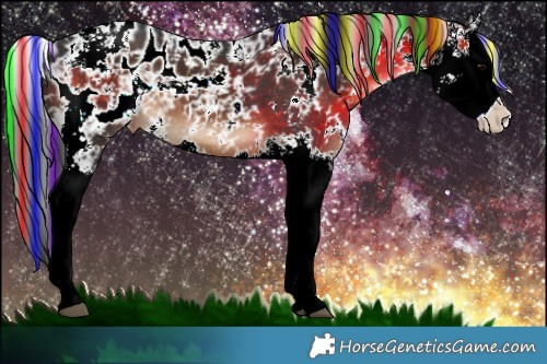 Horse Color:Painted Brown Sabino Splash Appaloosa