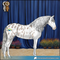 Horse Color:Liver Red Dun Mushroom Sabino Appaloosa Brindle
