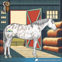 Horse Color:Liver Red Dun Mushroom Sabino Appaloosa Brindle 