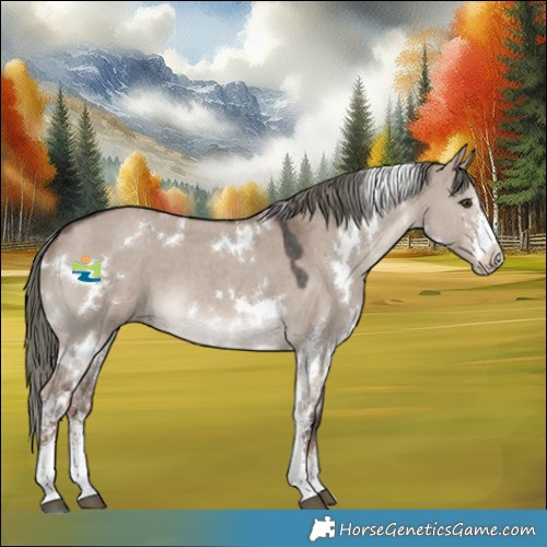 Horse Color:White Spotted Liver Red Dun Mushroom Sabino 