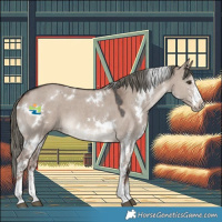 Horse Color:White Spotted Liver Red Dun Mushroom Sabino 