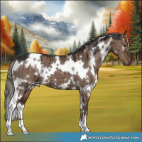 Horse Color:White Spotted Liver Red Dun Mushroom Brindle 