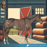 Horse Color:Liver Red Dun Mushroom Brindle 