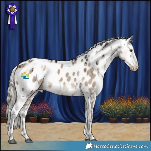 Horse Color:White Spotted Liver Red Dun Mushroom Appaloosa Brindle 
