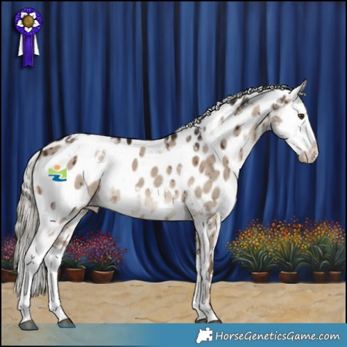 Horse Color:White Spotted Liver Red Dun Mushroom Appaloosa Brindle 