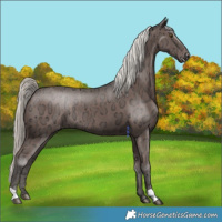 Horse Color:Liver Chestnut Ice Mushroom Varnish Rabicano 