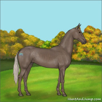 Horse Color:Silver Black 