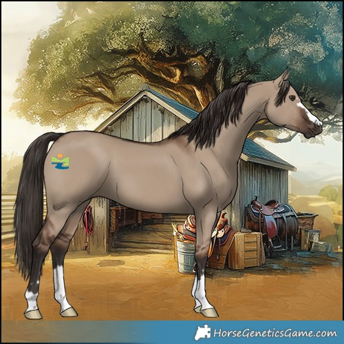 Horse Color:Liver Red Dun 