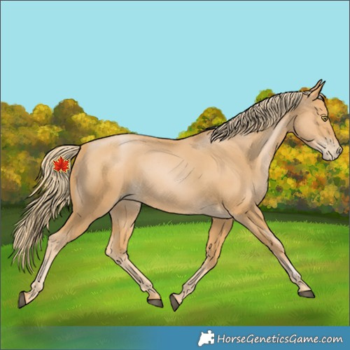 Horse Color:Chestnut Pearl 