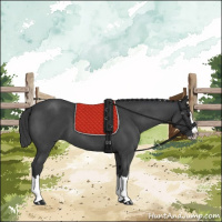 Horse Color:Blue Roan Splash