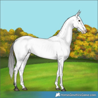 Horse Color:Black Fewspot 