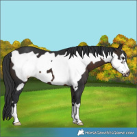 Horse Color:Brown Frame 