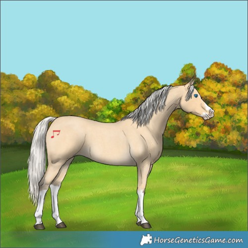 Horse Color:Silver Buckskin Roan Splash 