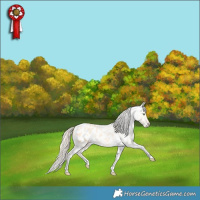 Horse Color:Gold Cream Champagne Roan Dun Tobiano Blanket Rabicano 