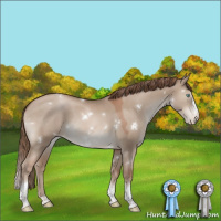 Horse Color:White Spotted Grullo Pearl Splash Tobiano Varnish Rabicano 