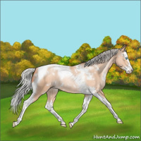 Horse Color:White Spotted Silver Amber Champagne Pearl Splash Tobiano Rabicano 
