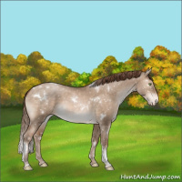 Horse Color:White Spotted Brown Pearl Dun Tobiano Snowflake VarnishRabicano 