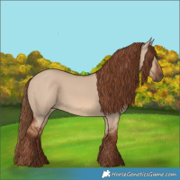 Horse Color:Red Dun 