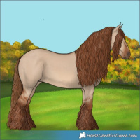 Horse Color:Red Dun