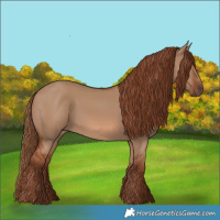 Horse Color:Red Dun 