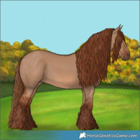 Horse Color:Red Dun 
