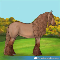Horse Color:Red Dun 