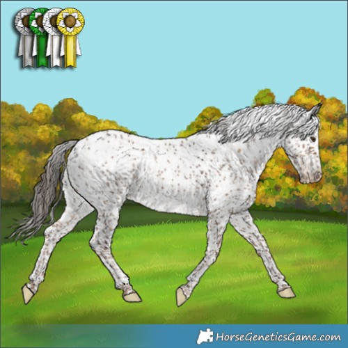 Horse Color:Liver Red Dun Sabino Rabicano 