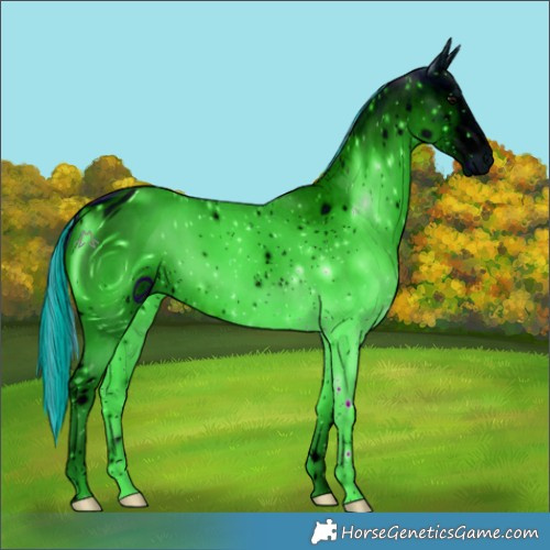 Horse Color:ERROR: UNKNOWN ANOMALY