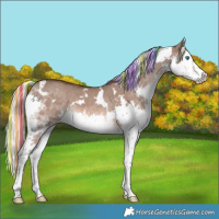 Horse Color:Painted White Spotted Liver Red Dun Mushroom Splash 