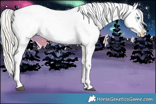 Horse Color:White Spotted Chocolate Silver Buckskin Pearl Rabicano 