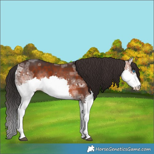 Horse Color:Brown Ice Splash 