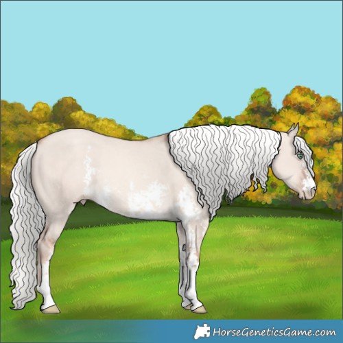 Horse Color:Gold Champagne Dun Mushroom Sabino Rabicano 