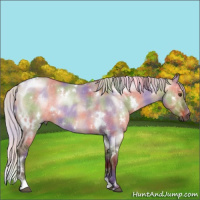 Horse Color:Nacre White Spotted Silver Brown Dun Rabicano 
