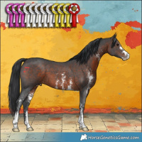 Horse Color:Brown Sabino