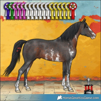 Horse Color:Brown Sabino 