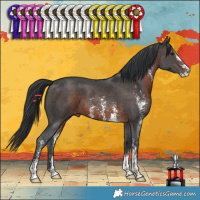 Horse Color:Brown Sabino 