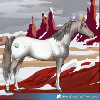Horse Color:White Spotted Bay Snowcap 