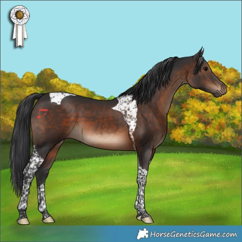 Horse Color:Brown Tobiano 